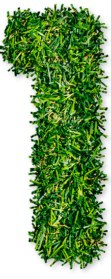 One-Farm Grass 1 Symbol